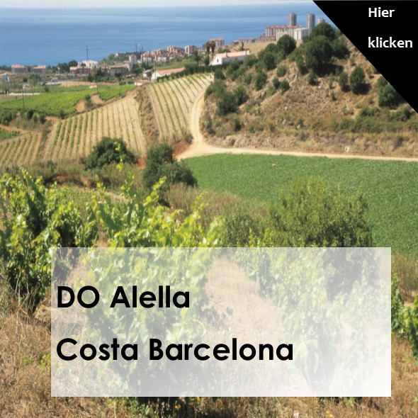 DO Alella