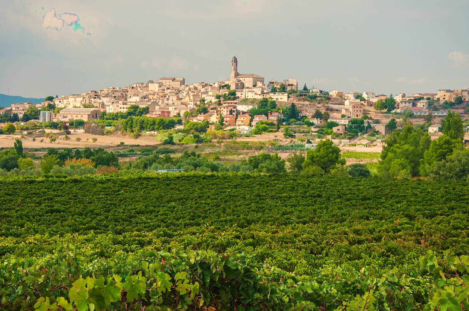 Conca de Barberà Katalonien Weingebiet