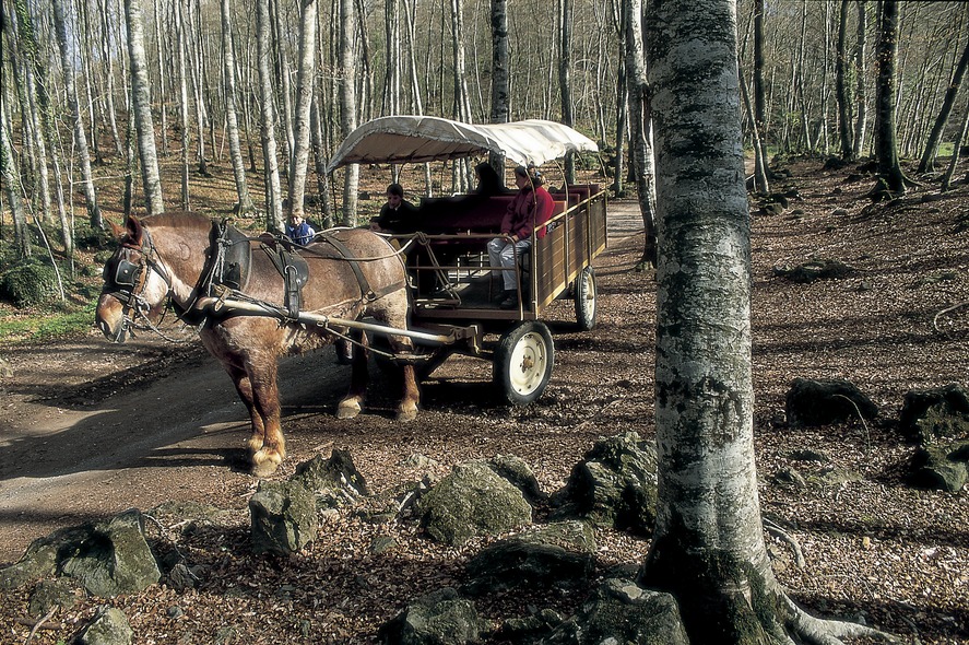 A carriage ride in La Fageda d'en Jordà In a forest near the town Interior of the Barcelona Maritime Museum. Arches of the cloister of the Castle Monastery of Sant Miquel dEscornalbou Main façade of Barcelona Cathedral Suda Castle and Seu Vella El Celler de l'Aspic restaurant in Falset Façade of the Geology museum, by Antoni Rovira i Trias Monumental fountain and doorway to the church of Vallbona de les Monges monastery Boats in the port at dusk 2 Attic of Antoni Gaudís Casa Batlló. Apse of the church of Sant Feliu Doorway of the church of Santa Maria. Royal Monastery of Santa Maria de Poblet View of the town and Sierra de Mussara, in the Prades mountains Boiled butifarra (Catalan sausage) with beans. Giants during the street parade at Corpus Christi Port of Aiguablava. Boat in the port Confit of pork Wellness. Peralada Wine Spa. Branches with the strawberry tree fruit (Arbutus unedo). Yachts moored in the port of Vilanova i la Geltrú Sailing boat masts reflected in the water of the port Altarpiece of Santa Maria de Tots els Sants (1400). Pere Serra. Monastery of Sant Cugat dOctavià Cloister of Sant Domènec in the old convent of Roser dels Agustins Library of Catalonia, in the old hospital of Santa Creu. Dining area in the Catacurian hotel Fountains at Montjuïc Masía in the Montseny massif Waterfall in the Montseny Natural Park. La Fageda d'en Jordà. General view of the port at Roses Wellness. Bottles and glass of wine Interior of the Codorniu cellars Gema Monroy, from Traveller magazine, preparing crema catalana during a cookery class in the Empordà Gastronomic Classroom Night view of the Mas de Torrent Hotel Cabos atados a un proíz en el Puerto del Estartit Transept of the church of the Royal Monastery of Santa Maria de Vallbona. Quad bikes. Sau reservoir Church of Sant Salvador de Granyanella Museu Municipal Josep Aragay Tomb of the church of Sant Joan de les Abedesses monastery Godfather during th